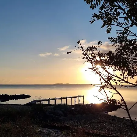 8 Person In Hejls-by Traum 別荘 *